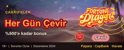 Popüler Slotlarda Bedava Dönüş promotion
